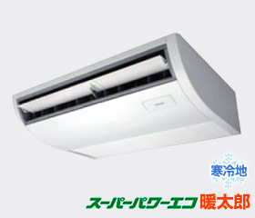 �V��݂�`�G�A�R��